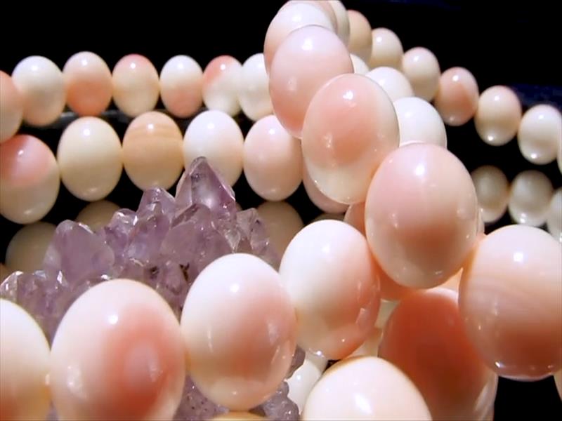 ●2A【天然ピーチシェル（クイーンコンクシェル）ブレスレット】約10mm-10.5mm×19珠...