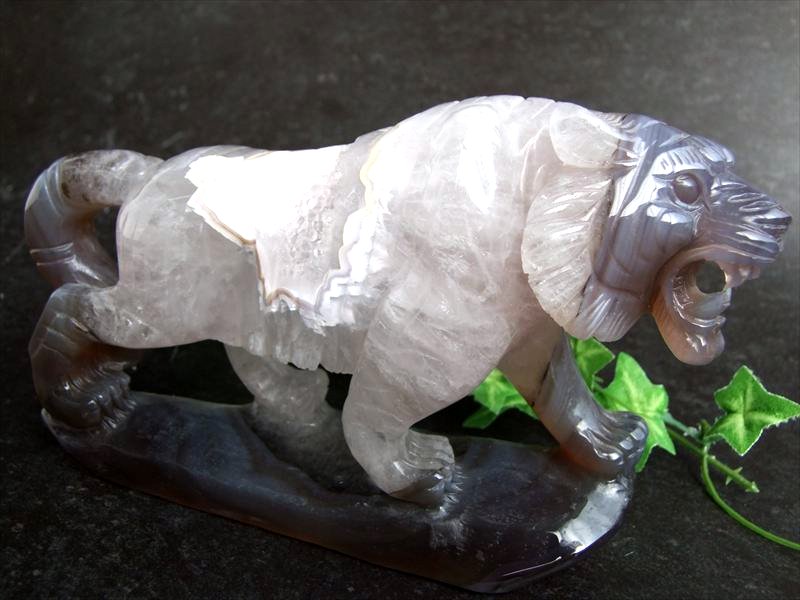 ŹƬŸ۾и˽ɤ뿹βԤδ ھи ȥ Ħʪ۽Ť835g 178mm Υ   &徽 ʡ⤿餹д...