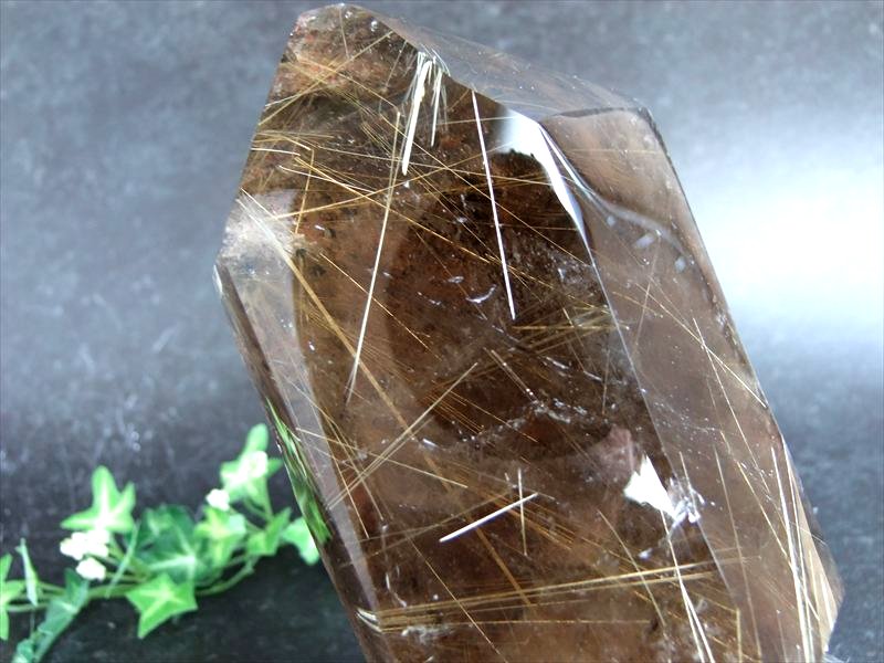 ڥ֥åե饤ǡݥ5ܡϤĤ 5Aڥɥ륯 Ⱦ̥ݥåݥȸ դ۹⤵217mm Ť2...