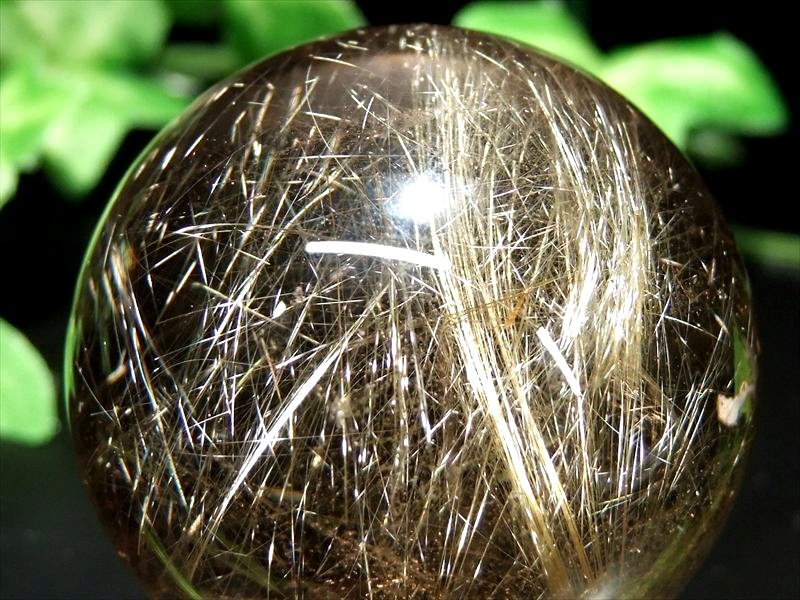 «ˡڥɥ  ݶ դľ42.0mm Ť114g 륯 ѥȡ Ρڥ֥饸뻺 ѥȡ ŷ...