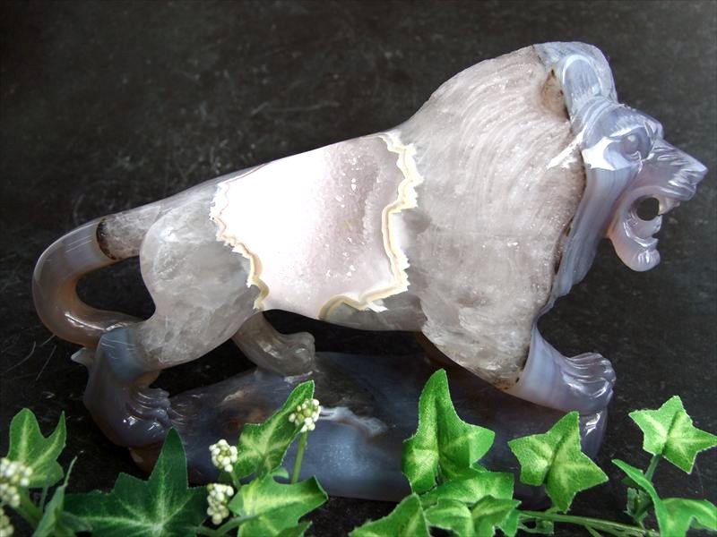 【ブラックフライデー期間中ポイント5倍】【店頭展示中】獅子が運ぶ強運と勝利 【笑口瑪瑙 ライオン 彫刻置物】重さ1195g 幅191mm メノウ アゲート ジオ...