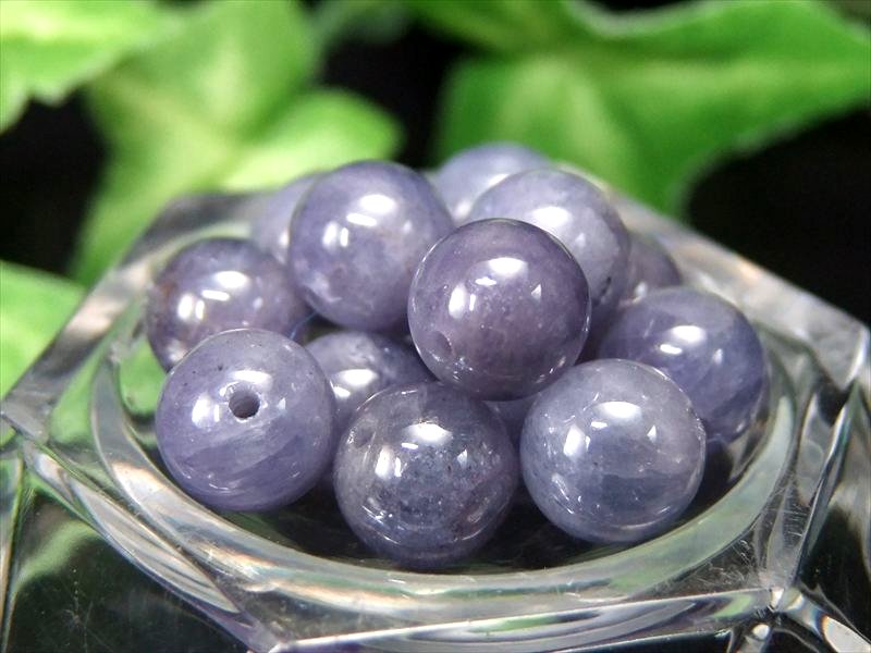 �ڸ���25��� 2A+�ڥ��󥶥ʥ��� �Х������1γ��� ��7.5mm Ʃ�����Τ�������֥롼 �֥롼���������� ���Ϥ��������ˡ���Сڥ��󥶥˥����� �ѥ...