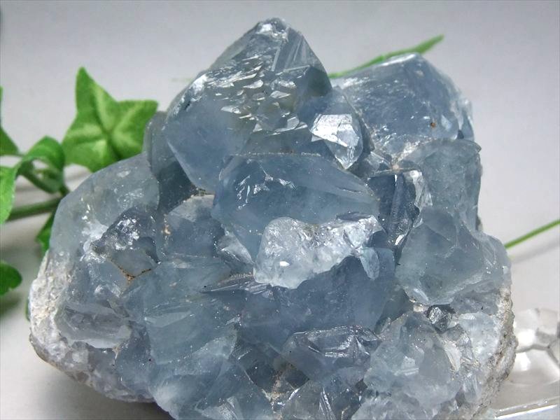 ��25��23:59�ޤ�����P5�ܡ�Ʃ�� 5A�ڥ��쥹������ (ŷ����) ���饹���� ���Сۺ�����70mm �Ť�324g ŷ�Ȥ��� ���Ϥʾ������̤ȥҡ����ǽ��...