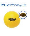 ■ソフトパンチ(300g)(1球) ソフト3号サイズのパワートレーニングボール ●ソフトボールの重さに負けないパワーを付ける。 ●アイアンサンド入りボール 〔サイズ〕96mm 〔重さ〕300g 〔素材〕砂鉄(ウエイト)、PVC(ボール)