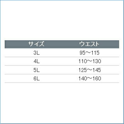 【大きいサイズ】 腰用サポーター 【Phiten(ファイテン)】 メンズ 4L 無理な姿勢や激しい動作の中でも自在のサポート力で腰部を安定 腰 サポート スポーツ ビジネス アクアチタン メッシュ素材 超極薄 超軽量 超通気性 目立たない トップアスリート ビッグサイズ