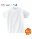 5.6ozヘビーウェイトTシャツホ...