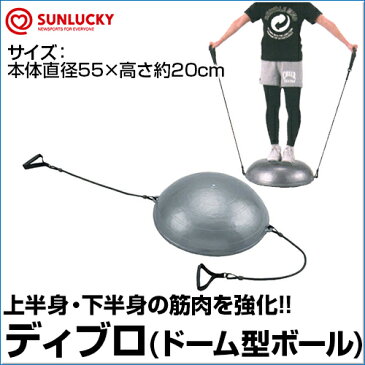 【SUNLUCKY(サンラッキー)】　ディブロ　【ディブロ】　インナーマッスル　エクササイズ　バランスボール　筋力トレーニング　上半身　下半身