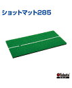 ショットマット285【ゴルフ】【Tabata(タバタ)】トレーニンググッズ 楽しく練習 強化練習 自主トレ 自主練習 上達のコツ グッズ 上達のコツ