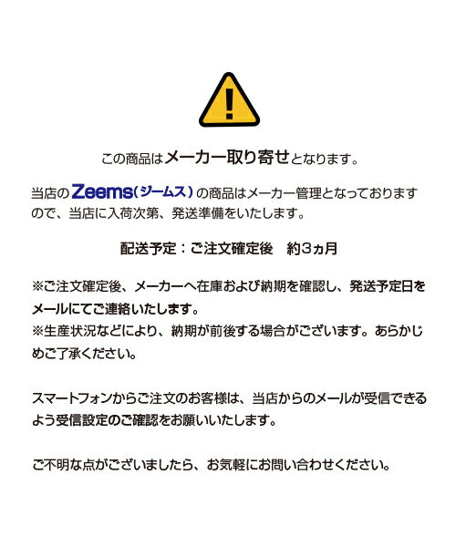 ��Zeems(�����ॹ)�ۥХåȥ����� (10����)�ڥ����ॹ�ۥХå� ������ �Хå� 10�� ���ʥ�� ���