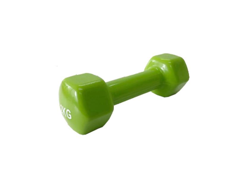 LLB SPORTS(エルエルビースポーツ) カラーダンベル カラーアレー 2kg 握りやすい 013