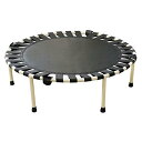 RIORES(リオレス) おりたたみトランポリン ゴムバンド式 102cm 耐荷重 100kg 家庭用 静音設計 90日付き ダイエット トレーニング フィットネス 大人用 子供用 こども(4)