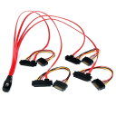 StarTech.com 内部MiniSASケーブル 50cm SFF8087(36ピン) - 4x SFF8482(29ピン/メス) + 4x SATA電源 SAS808782P50(2)