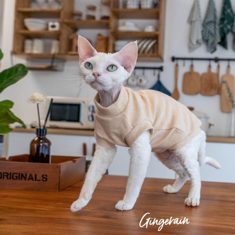 ペット服 猫用 キャットウェア 暖かい 綿 コットン 保温性 防寒 低刺激 敏感肌 向け 無毛猫 スフィンクス デボンレックス 基礎 ベーシック 無地 シンプル ベスト 袖なし ノースリーブ 部屋着 ルームウェア 柔らかい 肌触り 秋 冬 秋冬 快適 通