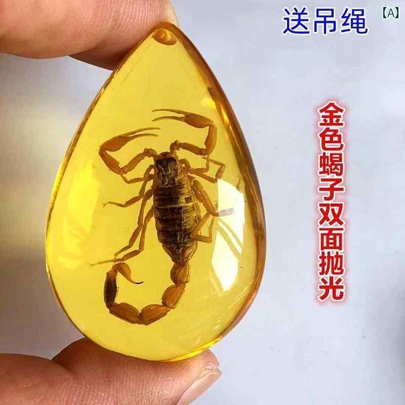 おもちゃ ホビー 琥珀の 昆虫 標本 サソリ 蝶 カニ ペンダント 小学校 教科 書 子供の 科学 琥珀 樹脂 装飾品 ギフト