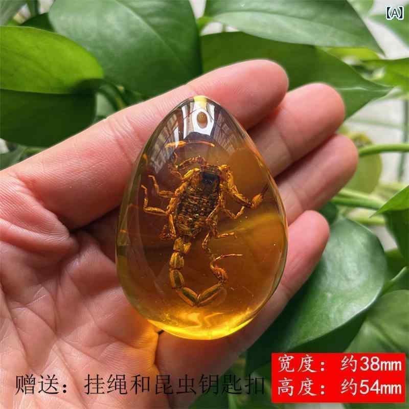 　おもちゃ　ホビー 琥珀の 昆虫 標本 ネックレス 蝶の ペンダント の 小学校の 教科 書の 指導 カニ ..