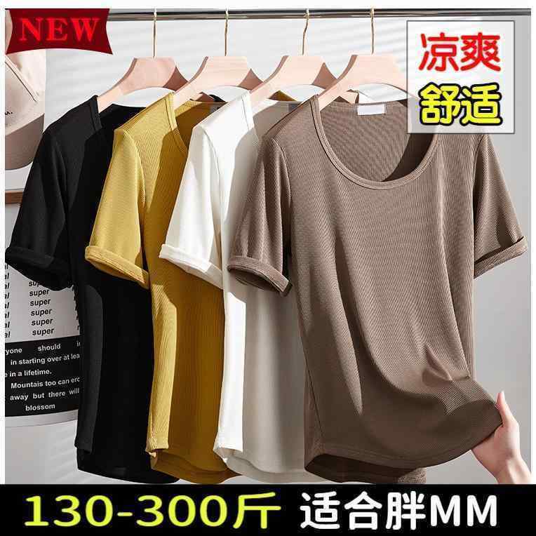 ǥTġȾµ 300   T  200ݥ ä mm  饦ɥͥå ȥ졼  ̵ ץ ɥ졼 Ⱦµ 䴶 ȥå