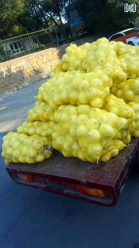 袋　メッシュ　ネット トウモロコシ用 編み バッグ 大型 メッシュバッグ グレープフルーツ用 果物 野菜..