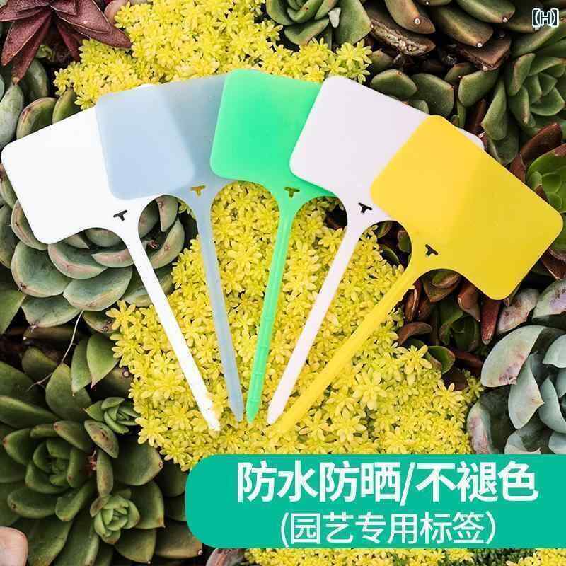 ガーデニング　DIY　道具　 ガーデニングラベル T 字型 多 肉 植物 花 地面 挿入 ...