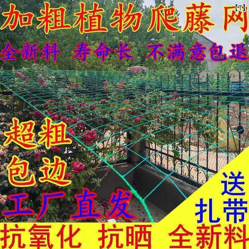 ガーデニング　DIY　道具　 植物 登山 ネット パッションフルーツ 豆 キュウリ バ...