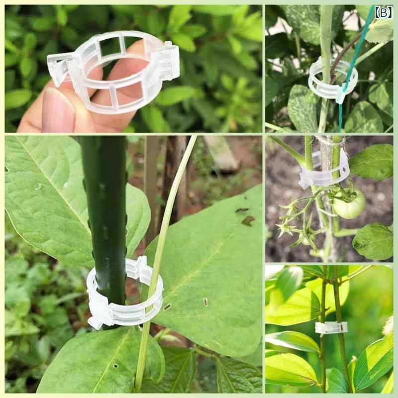 ガーデニング　DIY　道具　 農場の 植え付け 野菜や 果物の クリップ つる 植物の ...