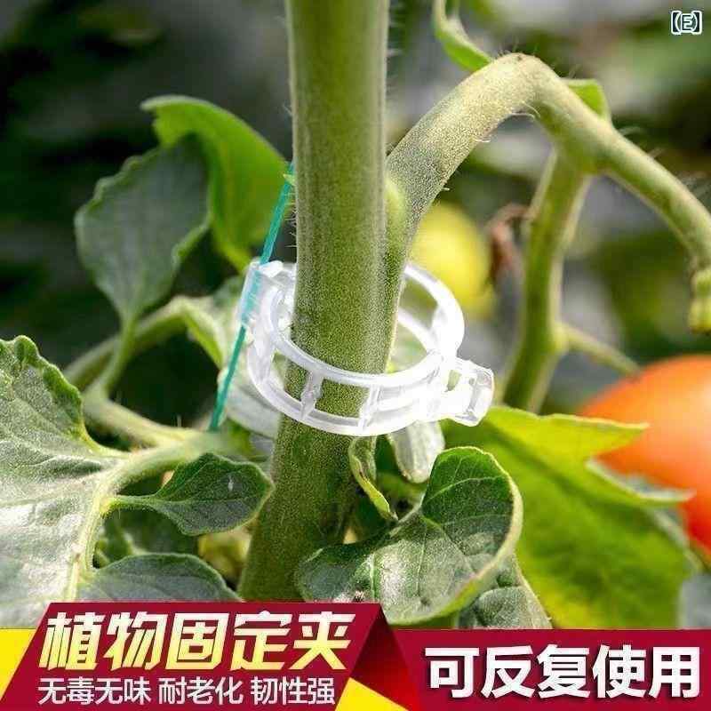 ガーデニング　DIY　道具　 キュウリ トマト 豆の つる 植物の 枝を 固定 する 植...