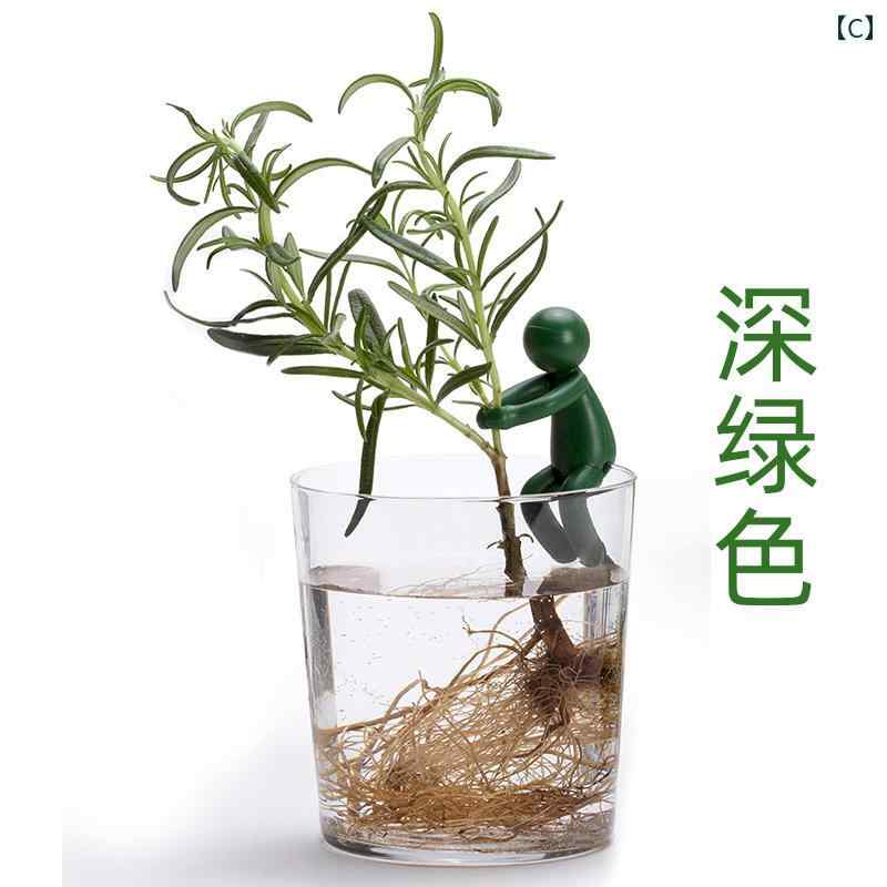 ガーデニング　DIY　道具　 水 耕 栽培 植物の 成長の 仲間 枝を まっすぐにして ...