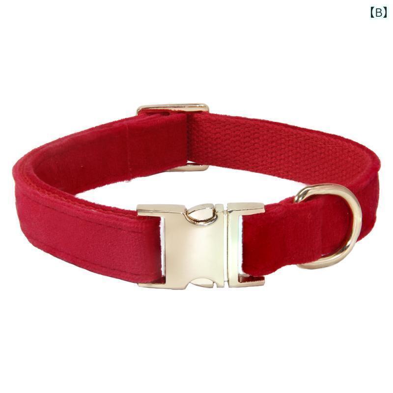 犬用　首輪　かわいい 犬用 首輪 テディ 小型 ロープ 刻印入り 紛失 防止 リード ゴールデンレトリバー..