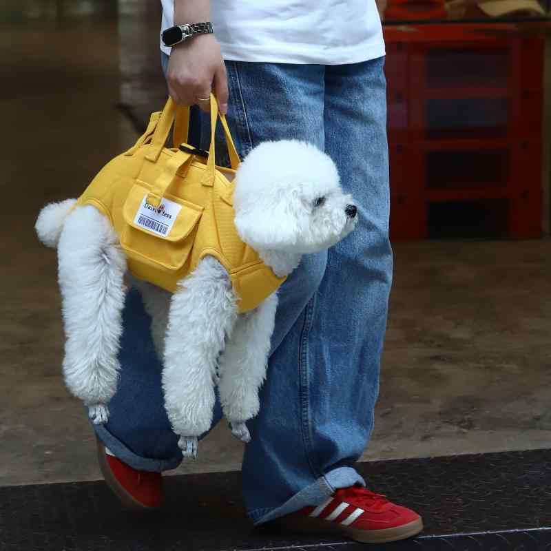 ペットキャリーバッグ 犬用 猫用 小型犬 キャリーケース 鞄 ショルダー 斜め掛け 横型 肩掛け 手提げ 軽量 通気性 持ち運び便利 お出かけ用 散歩用 旅行用 ペット用品 折りたたみ 丈夫 安定感 快適 飛び出し防止 リード付き 調整可能 多機能 シン
