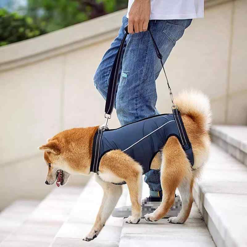 ペット用品 犬用 サポートハーネス 補助ベルト 老犬用 介護用 散歩用 障害 負傷 歩行補助 中型犬 小型犬 体型カバー ゆったり 介護用品 通気性 軽量 着脱簡単 サポート用具 介護サポート 老犬介護用ハーネス 歩行支援 歩行補助具 介護ベスト お散歩