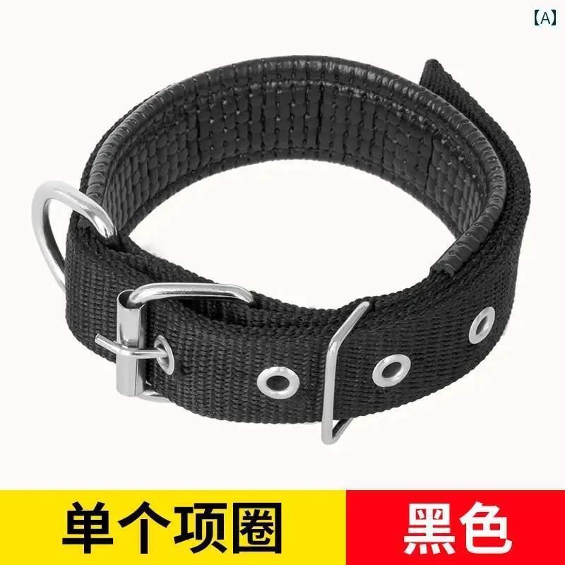 ワンちゃん　ペットグッズ 犬用 首輪 テディ ゴールデンレトリバー 大型 犬 小型 散歩用 リード ペット 用品