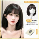 女性用 かつら 女性用 ウィッグ ショート ヘア フル ヘッド セット ナチュラル 年齢を 感じさせにくい シミュレーション 人 毛新 スタイル ボブ