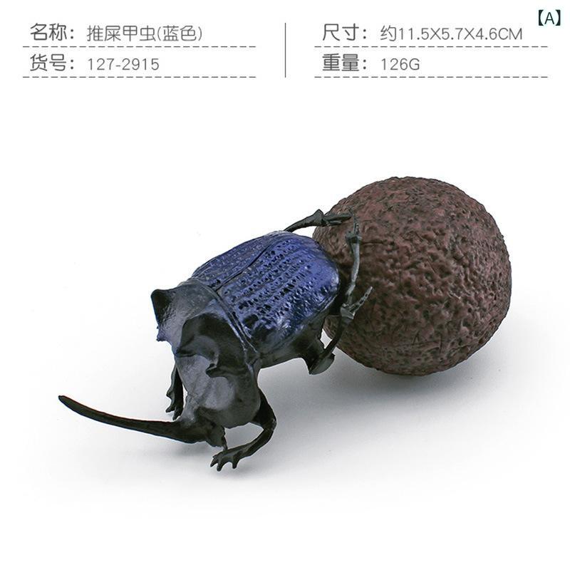 昆虫模型 子供用 リアル フンコロガシ 甲虫 フィギュア 野生動物 教育玩具 砂遊び 装飾 置物 コレクション 学習雑貨 詳細スケール インテリア