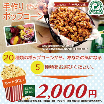 【送料無料】20種類のポップコーン 5種類選んで!キャラメルポップコーン・チーズポップコーン【ホームシアター】【映画】用ポップコーン