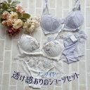 送料無料|大人可愛い ノンワイヤー ブラショーツセット セクシー レディース インナー