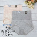 送料無料｜3枚セット｜はらまきショーツ｜腹リズム｜成型ショーツ｜レディースインナー｜M/L/LL｜17306