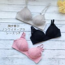 送料無料|ノンワイヤーブラ シームレス レースタイプ M/L/LL 12020レディース 下着