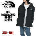 ノースフェイス ノースフェイス ダウン ジャケット メンズ USAモデル THE NORTH FACE Aconcagua Jacket フード パーカー ダウンジャケット 防寒 保温 撥水 防風 リサイクル アウター ビッグシルエット 大きいサイズ ファッション ブランド 黒 3XL 4XL 5XL NF0A84KG