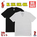 ラルフローレン Vネック Tシャツ メンズ 大きいサイズ POLO RALPH LAUREN 半袖 無地 ビッグサイズ Tシャツ インナー 綿 コットン100％ アメカジ USA ブランド ファッション プレゼント 男性 白 黒 XL 2XL 3XL 4XL