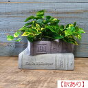 【訳あり】ガーデニング雑貨 植木鉢 プランター グラスファイバー FRP 樹脂 鉢 鉢カバー ガーデン雑貨 ガーデニング 雑貨 アンティーク ナチュラル おしゃ...