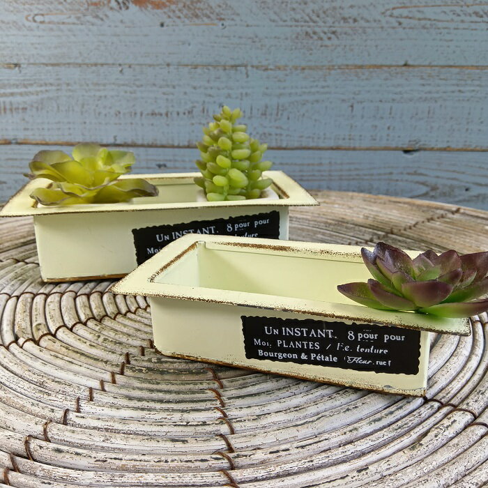 ガーデニング雑貨 植木鉢 プランター ブリキポット ブリキ バケツ 鉢 鉢カバー ガーデン雑貨 ガーデニング 雑貨 アンティーク ナチュラル おしゃれ かわいい TRAY アンスタンポットSET2 YZ-MA2399400-60_mtss