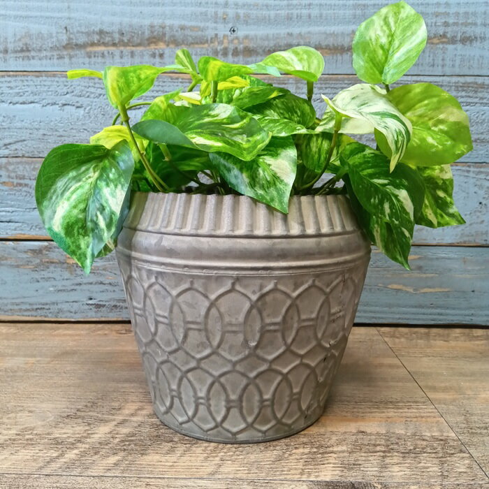 ガーデニング雑貨 植木鉢 プランター ブリキポット ブリキ バケツ 鉢 鉢カバー ガーデン雑貨 ガーデニ..