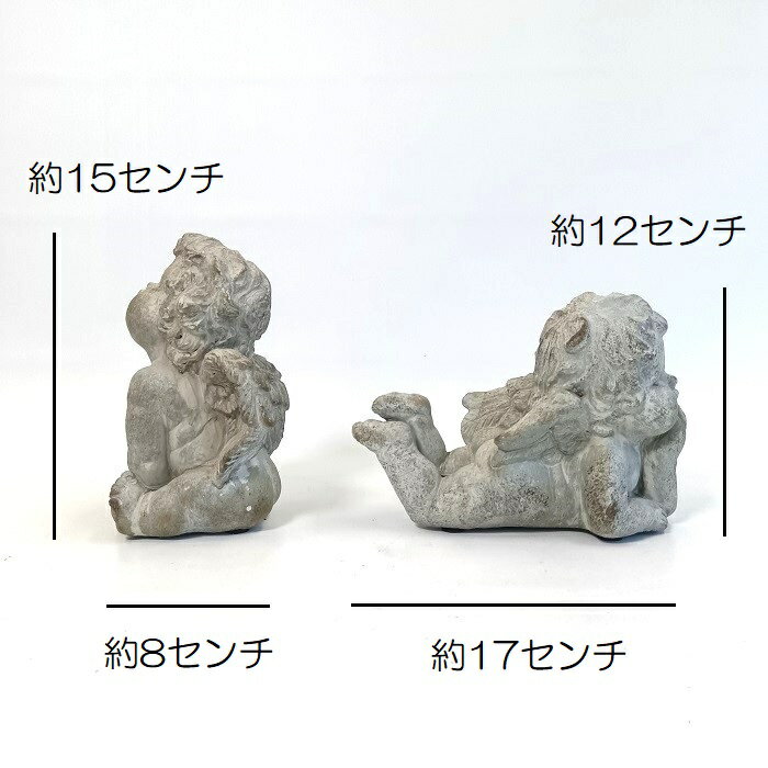 �����ǥ˥󥰻��� ŷ�� ��ʪ �����ʥ��� ���֥��� ��ʪ ���� �� �٥��� ���� �����ǥ󻨲� �����ǥ˥� ���� ����ƥ����� �ʥ����� ������� ���襤�� ORNAMENT �����ǥ󥨥󥸥���SET2 CG-QB-1317-80_mtss