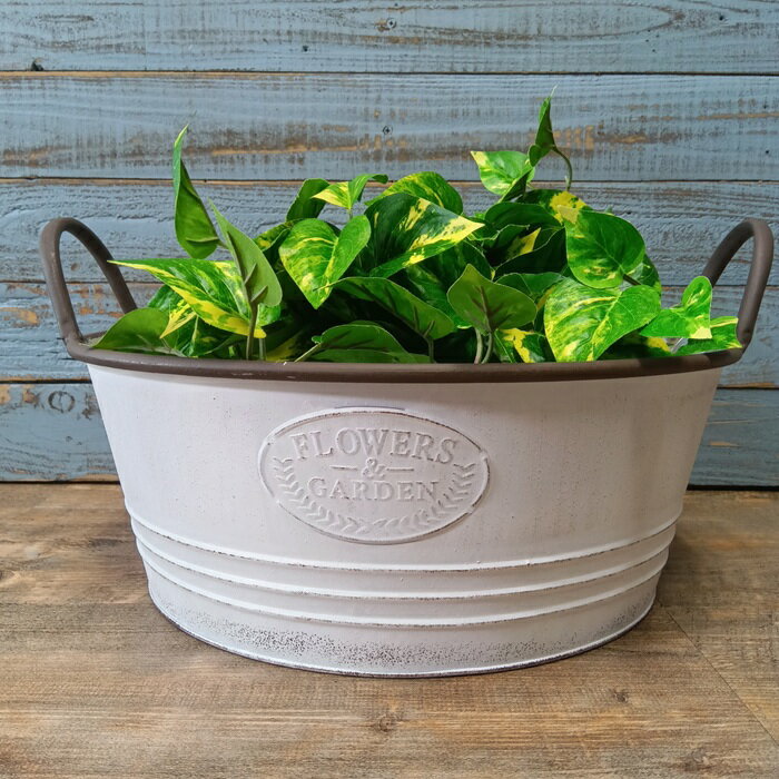 楽天市場】たらい アンティークの通販