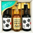 3本セット!もりやま園 テキカカシードル&アップルソーダ 330ml瓶【贈答箱入】【シードル/サイダー】【ノンアルコール】【炭酸飲料】【アップルジュース】