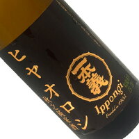 一本義 ヒヤオロシ 秋之純米酒 720ml 【要冷蔵】 四合瓶 日本酒 清酒 福井 一本義久保本店 いっぽんぎ