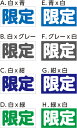 【車用】 限定 マグネット 約W125mmxH68mm