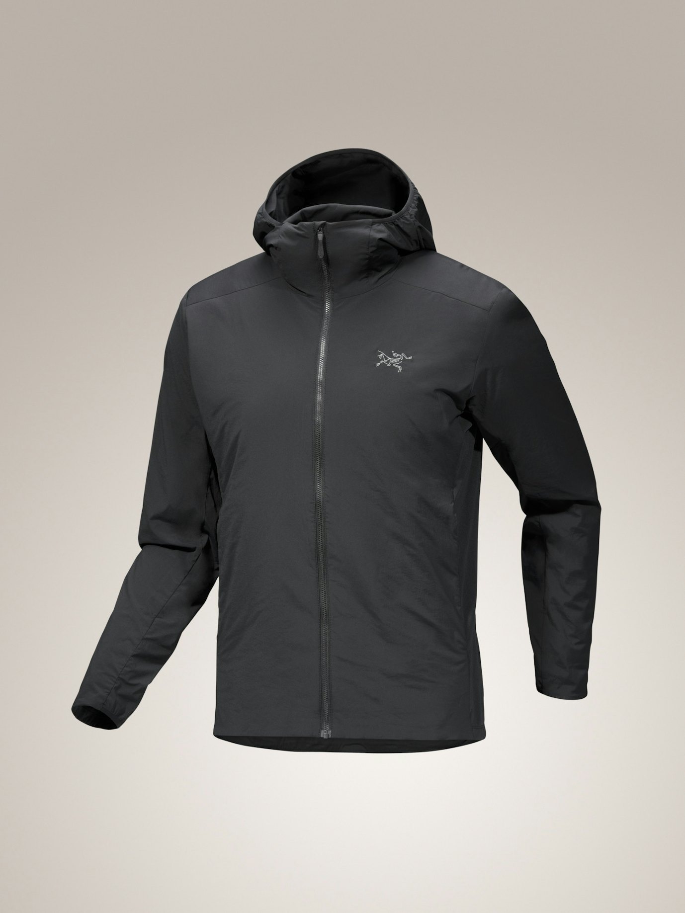 明日夜まで限定値下ARC'TERYX　Alpha SL　アルファSL　ジャケット Arc'teryx Alpha SL Jacket Mens XL Black Hooded Gore-Tex Paclite