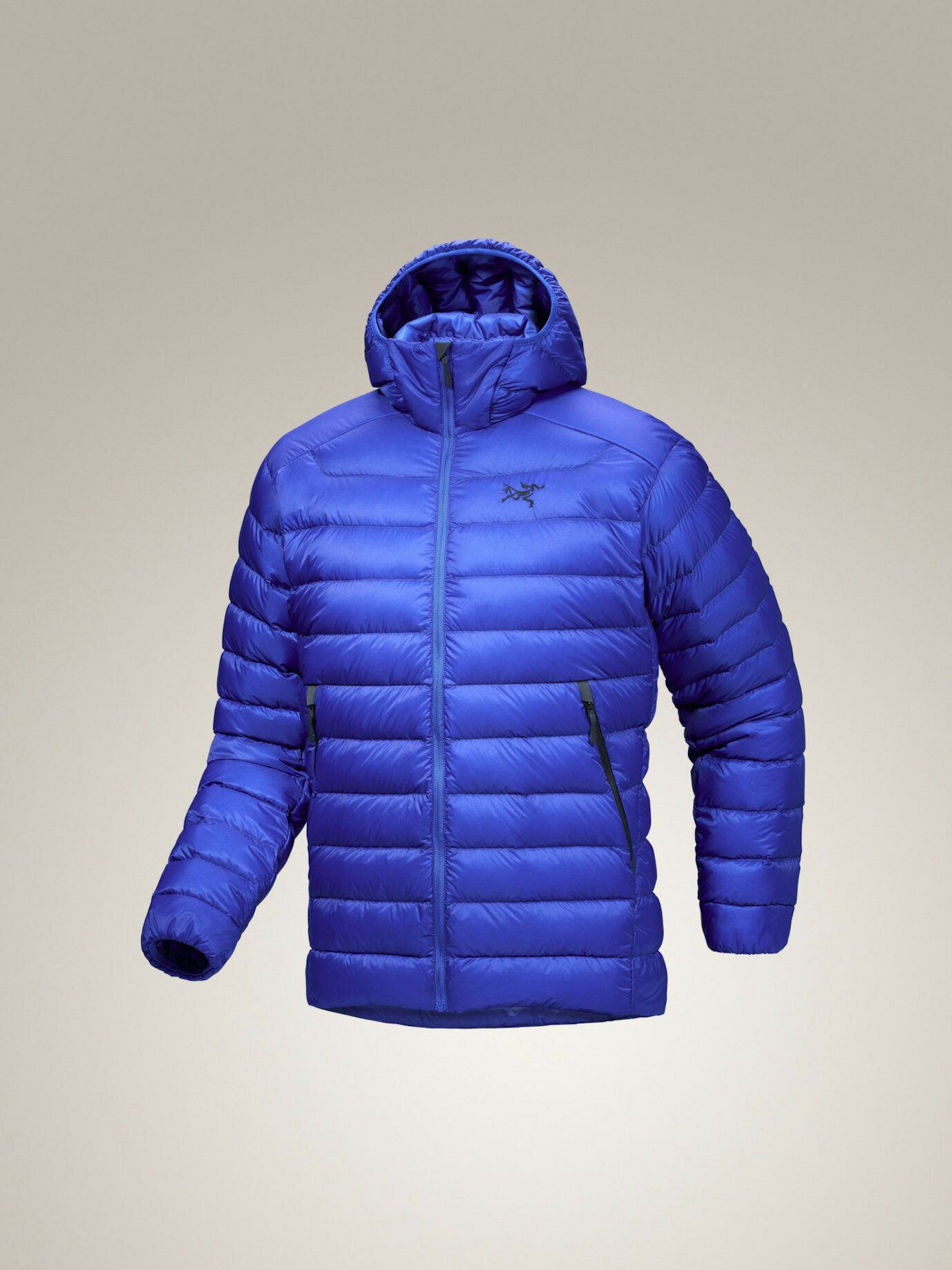 楽天市場】アークテリクス ダウンジャケットの通販