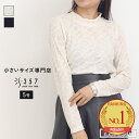 【SALE】小さいサイズ カットソー トップス ストレッチレースカットソー BEATRICE(レディースファッション オフィスカジュアル 5号 通勤 小柄女性 小さい服)