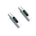 YFFSFDC USB Type C 変換アダプタ LEDワットスクリーン表示【2個セット】 PD対応 100W急速充電 オス-メス スマートチップ搭載 高速デ...